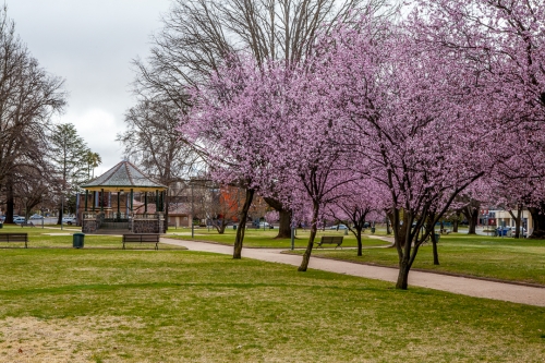 Robertson Park